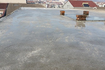 ���ں���ݶ����峬��ˮˮ��ɰ����ˮ��Ŀ