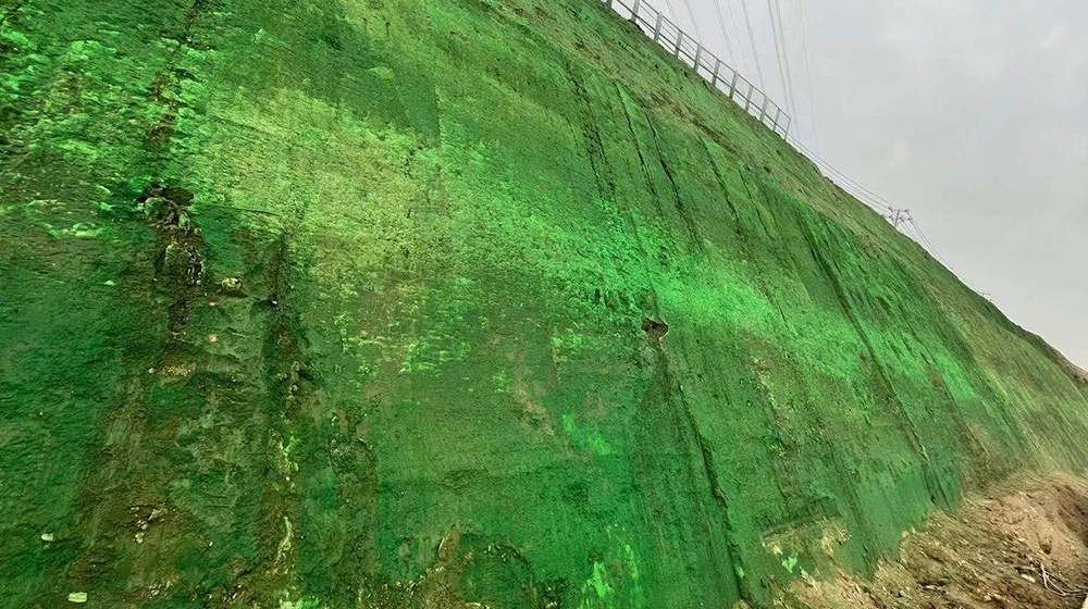 �ӱ��۰������޽�������̬����ˮ�����������������