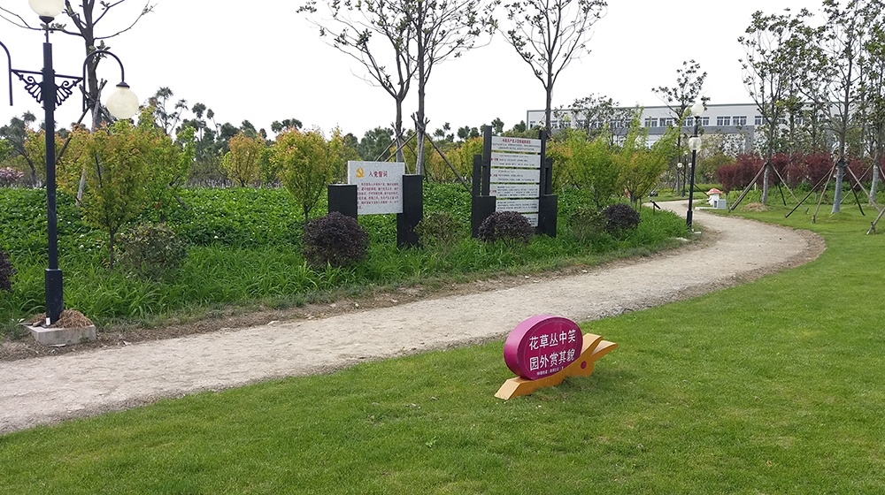 ƽ��ͬ�Ĺ�԰��̬����ˮ������