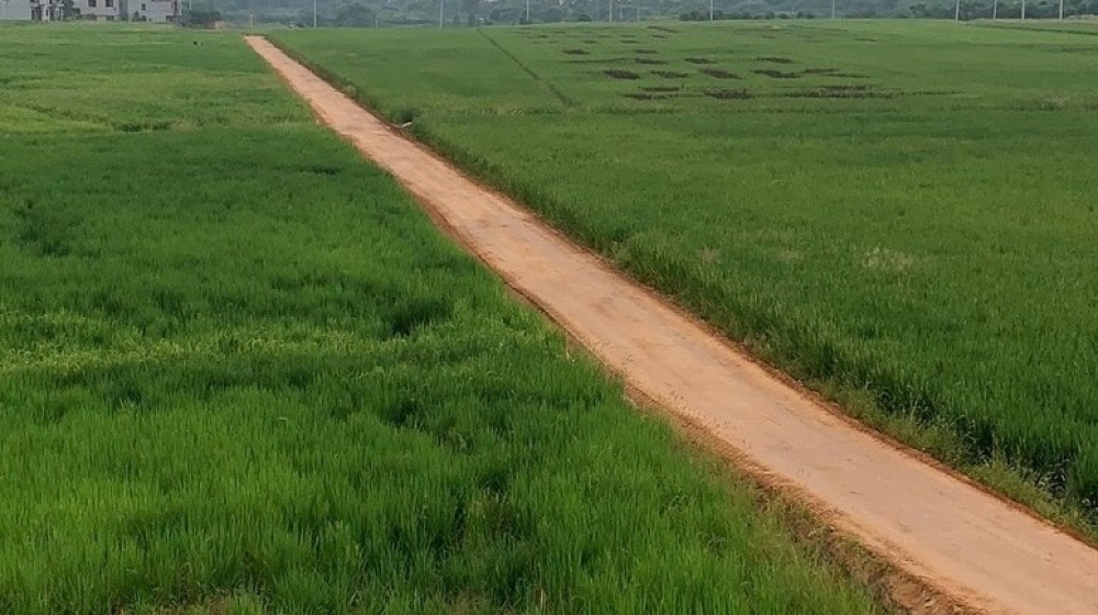 �㽭�𻪽�����Ķ�����޸�������������̬����ˮ������·