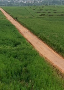 ��ɹ3-10�죬��������������͸��ͨ��