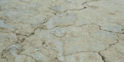 ��������ˮ�����á�ƽ�����鲩ʿ�ĺڿƼ�